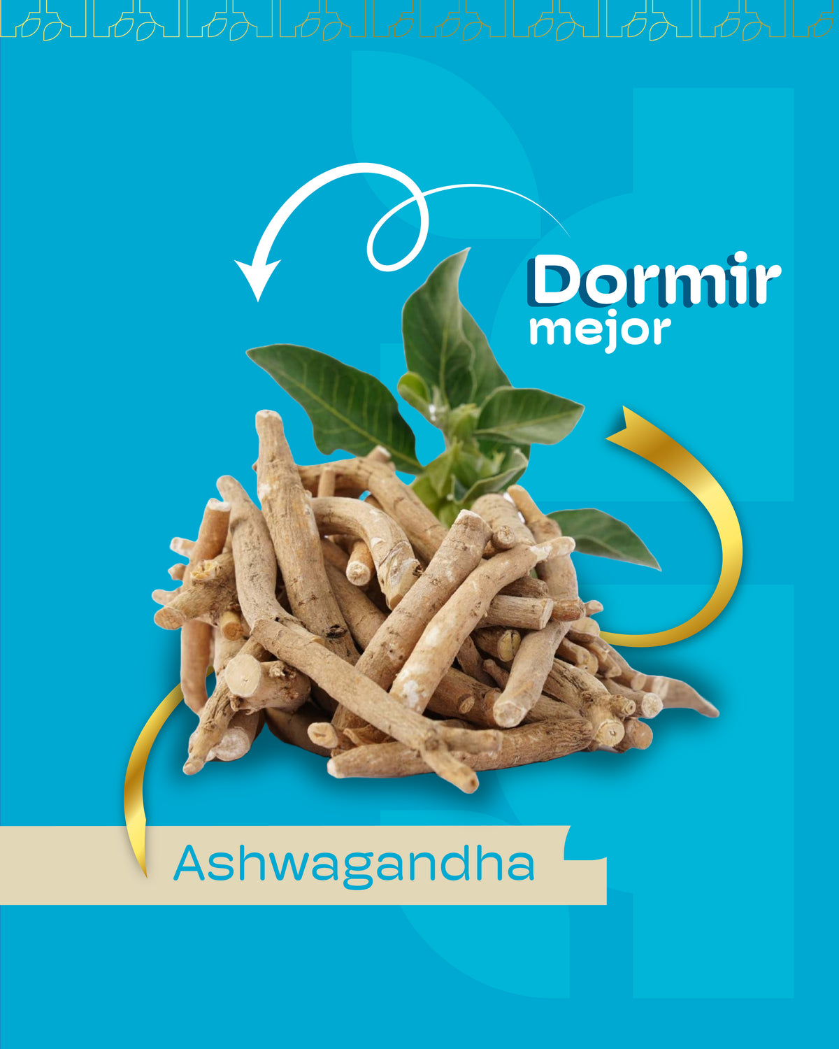 ASHWAGANDHA NAWHI